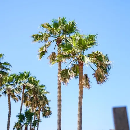 Ciutat Jardi 4* Palma de Mallorca